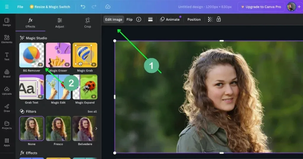 Canva AI Background Remover