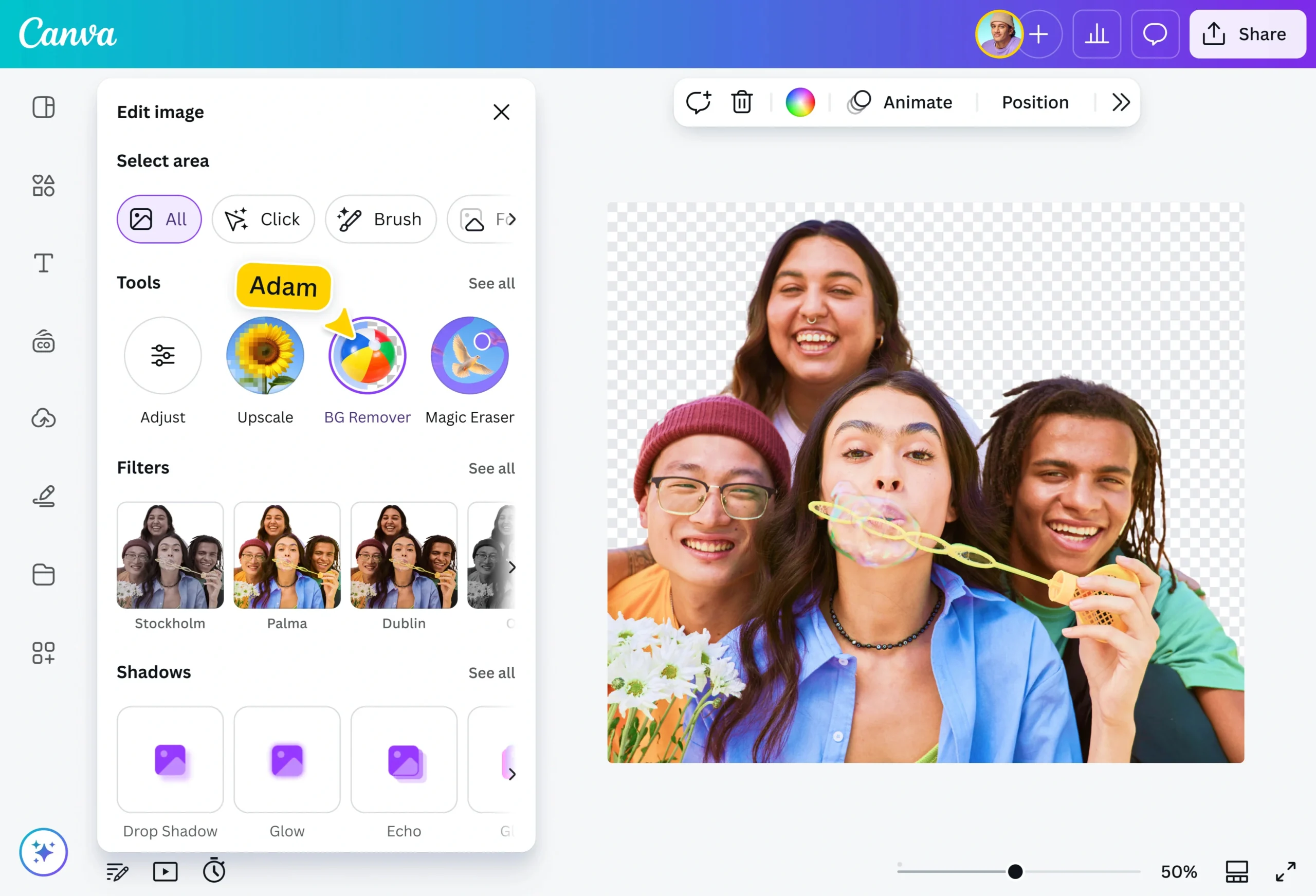 Canva AI Background Remover
